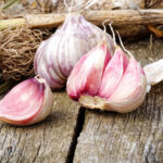 Aged garlic extract guards against heart disease in more ways than previously thought